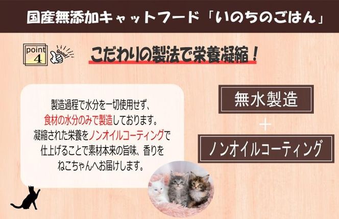 099Z638 【定期便】国産無添加 キャットフード 1kg×全6回 「いのちのごはん」タンパク質 50％配合タイプ【猫 ねこ ペットフード チキン 手作り ヒューマングレード 国産】