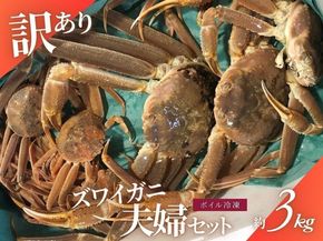 【11月～2月発送】【訳あり】新潟県村上市寝屋漁港産　本ズワイガニ夫婦セット 約3kg（雄 約2kg＋セコガニ 約1kg） 1079003