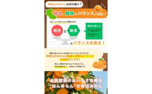 【2024年12月発送予約分】＼光センサー選別／ 【農家直送】【家庭用】こだわりの有田みかん 約4kg＋250g(傷み補償分)  先行予約 有機質肥料100% サイズ混合 【12月発送】みかん ミカン 有田みかん 温州みかん 柑橘 有田 和歌山 ※北海道・沖縄・離島配送不可/みかん ミカン 有田みかん 温州みかん 柑橘 有田 和歌山 産地直送【nuk148-2A】