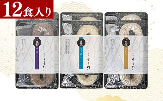 潤生「人気の定番麺」セット12食入り - うどん そば そうめん 饂飩 蕎麦 素麺 麺類 国産 九州産 小麦 つゆ付 国産小麦 手延べ てのべ 潤い 生に戻し 再熟成 こだわり もっちり食感 簡単 煮込むだけ 常温保存可能 人気 おすすめ 熊本県 甲佐町