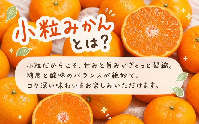 【有田の小粒みかん5kg　(S～3Sサイズ混合) ※2026年11月下旬～2027年1月下旬頃に順次発送予定  / みかん ミカン 蜜柑 温州みかん 柑橘 フルーツ 果物 くだもの 和歌山【uot845A】 
