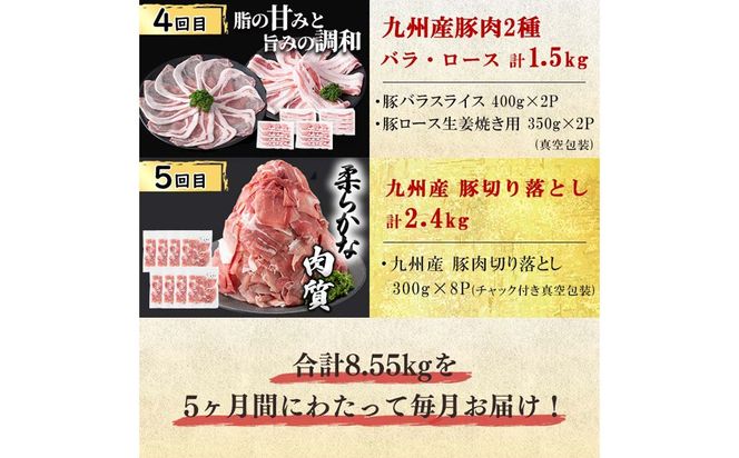 【定期便全5回】生活支援定期便(5ヶ月連続・総量8.5kg以上) t0066-008