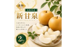 山根農園 新甘泉 2kg【2026年8月下旬以降発送】 313726_CY021