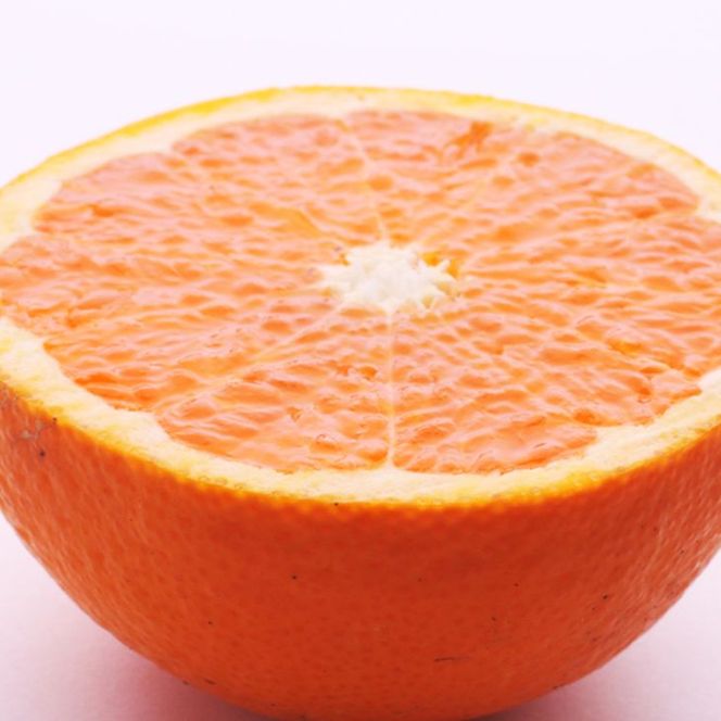 ＜2月より発送＞厳選 清見オレンジ1kg+250g（傷み補償分）◇【光センサー食頃出荷】【樹上完熟きよみオレンジ・清見タンゴール・清美】