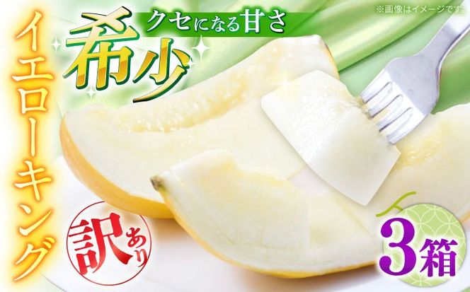 y茧쓇szy2026N5?z󂠂  CG[LO 3 i1 3`6ʁj/  ߂ t[c ʕ / 쓇s / 쓇ʕ[SCV044]