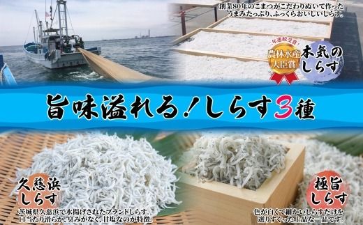 167-22-006　こまつ　しらす厳選セット シラス 本気のシラス 釜揚げ ちりめん 山椒 しらす丼 魚 魚介 海の幸 グルメ 人気 ギフト 贈り物 贈答品 食べ比べ 送料無料 小松水産 茨城県 日立市