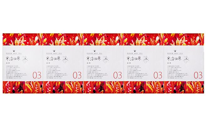 直茶発祥の地からお届け「宇治田原紅茶」50g×5袋〈お茶 茶 紅茶 茶葉 飲料 フルーティー 加工食品〉 