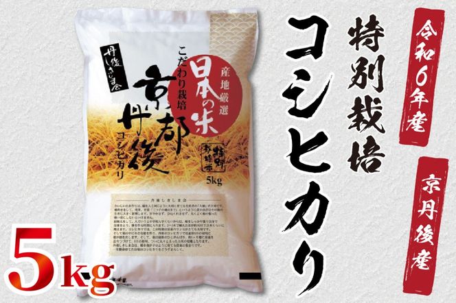 令和6年産　京都丹後産　特別栽培米コシヒカリ5kg（5kg×1袋）　ST00049