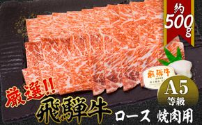 店主こだわり雌牛 飛騨牛A5等級　ロース　焼肉用　約500g [No.038]