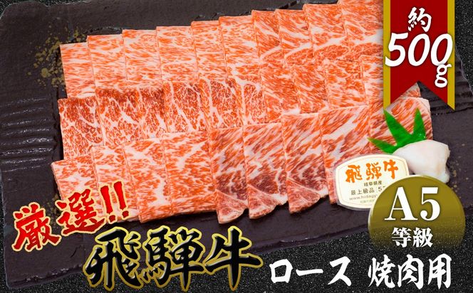 店主こだわり雌牛 飛騨牛A5等級　ロース　焼肉用　約500g [No.038]
