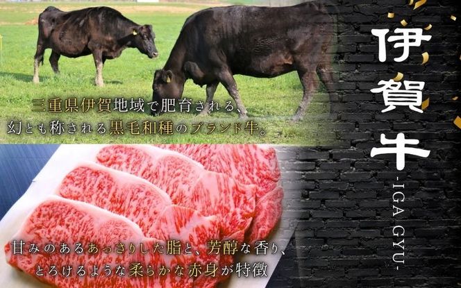 伊賀牛 サーロインステーキ 220g×4枚 【gzit0003】