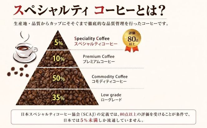 スペシャルティ コーヒー粉 180g×2袋