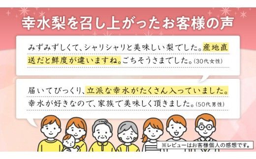【 JA 北つくば 】 筑西ブランド 認証品 幸水 10kg 2026年産 先行予約 梨 果物 フルーツ なし ナシ 幸水梨 くだもの デザート 茨城 [AE009ci]