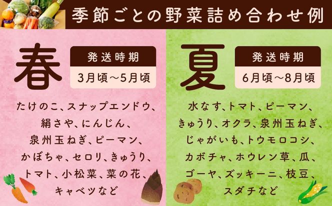 099H4172 旬の野菜セット 詰め合わせ 5種類 国産 新鮮 お試し おまかせ お楽しみ