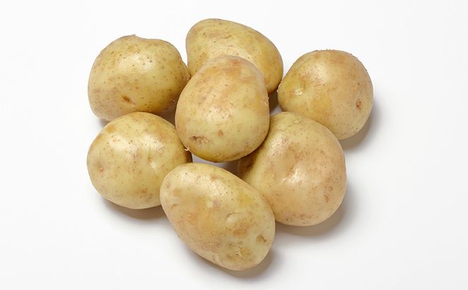 先行予約/2026年秋発送 北海道 十勝 幕別産 じゃがいも さやか 約10kg 【横山農園】 野菜 根菜 食材 しっとり 崩れにくい 煮込み料理 炒め物 肉じゃが カレー シチュー 北海道のジャガイモ