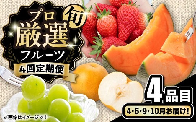 【4回定期便】プロ厳選 旬のフルーツ定期便 / 果物 フルーツ 果物定期便 フルーツ定期便 / 南島原市 / 愛2農園[SGG002]