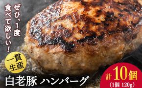 北海道産 白老豚 ハンバーグ 120ｇ×10個セット BV083