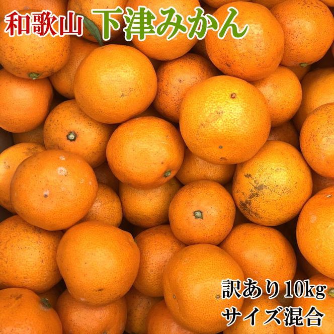 【訳あり】和歌山下津みかん10kgご家庭用向け(サイズ混合) 