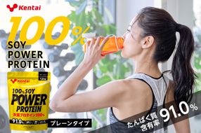 ns136-001 100%SOY POWER PROTEIN プレーンタイプ