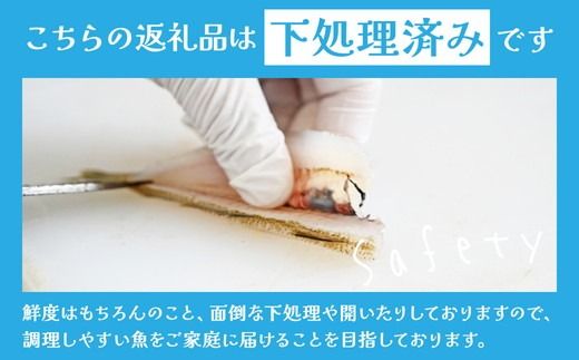 【定期便】鮮度抜群！旬の鮮魚おまかせセット 食べきり6パック セット｜定期便 4回 海鮮 鮮魚 魚 下処理済 新鮮 海鮮盛り合わせ 詰め合わせ 人気 おすすめ 愛知県 美浜町 ※北海道・沖縄・離島への配送不可
