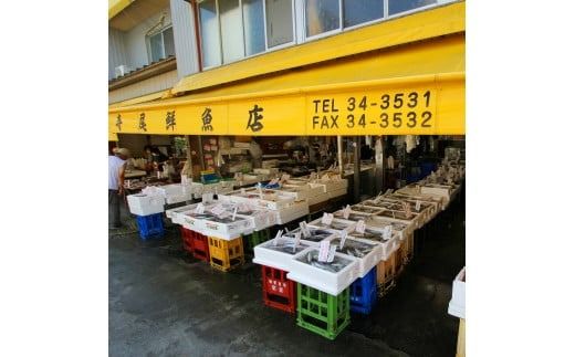 老舗 寺尾鮮魚店の初鰹と戻り鰹のタタキ定期便 1.5kgセット × 2回 タレ・薬味付き カツオのたたき 高知 藁焼き 真空パック 冷凍 定期便 旬 春 秋 食べ比べ 初ガツオ 戻りガツオ 鮮魚店 タタキ 1.5kg 2回 タレ 薬味 ねぎ にんにく 解凍方法 流水解凍 冷蔵庫 半解凍 キャッチコピー 本場 グルメ 海鮮 節 安芸市 高知県