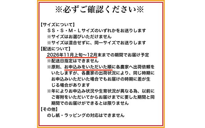  2.有田みかん「未来への虹」（10kg） (A2-2)