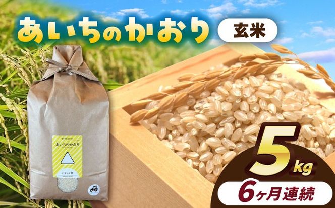 【6回定期便】あいちのかおり　玄米　5kg　お米　ご飯　愛西市／株式会社戸倉トラクター[AECS014]