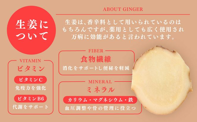 八代生姜80g×10パック 合計800g しょうが ショウガ ガリ ジンジャー 野菜 食品 薬味 生姜焼き しょうが焼き 温活 冷え性 対策 熊本県 八代市 東陽町 産地直送 国産