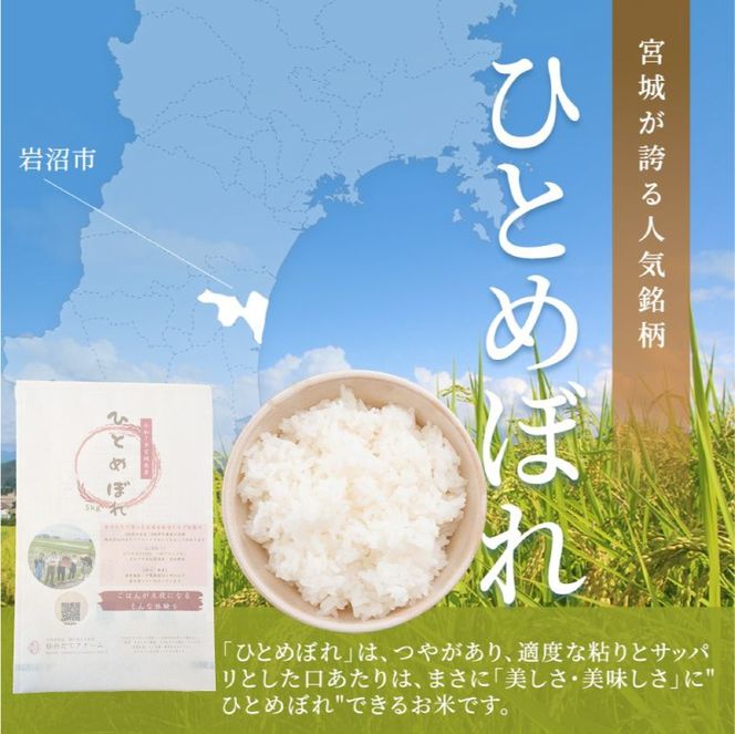 【 令和7年産 】 宮城県産 ひとめぼれ 5kg 単品 一等米 すぐ 届く 米 精米 東北米 ふるさと納税 米 お米 白米 コメ ライス ご飯 米5kg 5キロ ごはん 美味しい 国産 宮城県 岩沼市 kome okome お取り寄せ 産地直送 東北 SD001