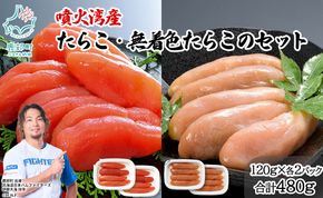丸鮮道場水産 噴火湾産のたらこ二味食べ比べセット 噴火湾産たらこ120g×2 噴火湾産 無着色たらこ120g×2 (計480g)