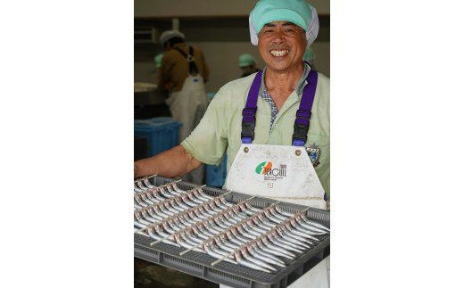 【訳あり】 名人が作る魚の丸干し＆開きセット 3kg 干物 国産 天然 ひもの 干物セット 訳アリ わけあり 魚 魚介 冷凍 新鮮 鮮魚 選抜 武久海産 丸干し 切り身 おつまみ おかず 人気 珍味 グルメ 規格外 国産 武久海産 愛媛 愛南	
