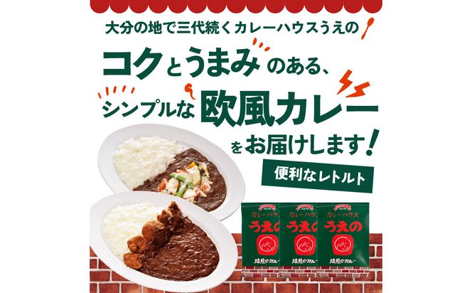 【K03042】九州クラフト うえの焙煎ビーフカレー レトルト 3袋