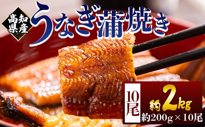高知県産蒲焼きうなぎ ２００ｇ １０尾 計２０００ｇ fb-0165
