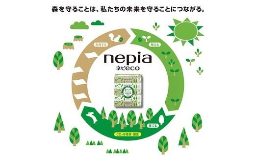 【定期便】2回発送 選べる発送間隔 ネピア ネピecoティシュ200組　5箱×12パック | 日用品 消耗品 必需品 ティッシュ ボックスティッシュ 箱ティッシュ ストック 花粉症 花粉 防災 備蓄 まとめ買い 全国 発送 eco サステナブル 一人暮らし nepia ネピア