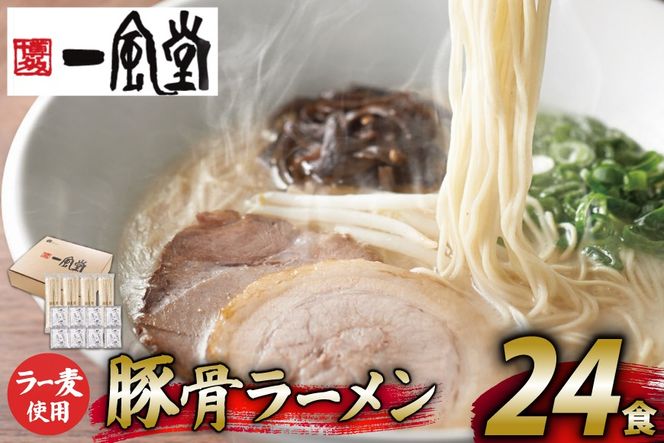 ラーメン 一風堂 とんこつラーメン 白丸 ラー麦麺 スープ 24食 セット [地域商社ふるさぽ 福岡県 筑紫野市 21761443] 博多 福岡 らーめん ラー麦 とんこつ 豚骨 博多ラーメン 豚骨ラーメン 白丸ラーメン