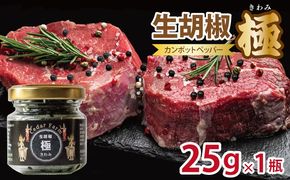 005A747 生胡椒 極(きわみ) 25g×1本【能登の塩 コショウ こしょう カンポットペッパー スパイス カンボジア】