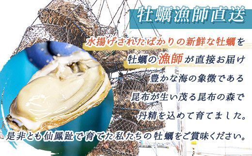北海道 仙鳳趾名産 牡蠣 150g～199g×10コ＋かきナイフ付き かき漁師直送 K1-6＜出荷時期：2025年10月以降 順次出荷＞＜センポウシ : 釧路町の東 厚岸湾の西 カキの名産地＞ | せんぽうし 牡蠣 生食用 殻付き 牡蠣 絶品 産地直送 北海道 釧路町 釧路超 特産品 121-1266-42