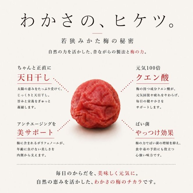 【訳あり】大入り梅干し130g×6袋 合計780g【保存容器付き】 発酵食品 昔ながらの梅干し すっぱい しそ漬け 塩分18％ Lサイズ 紅映梅を使用 福井県の特産 訳ありはパッケージ変更のため 