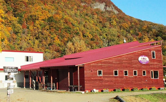 kanonzすぱあくりんご「 シードル 」360ml×2本 お酒 シャンパン スパークリングワイン 発泡酒 アルコール ワイン りんご リンゴ ご褒美 お祝 記念日 [株式会社八剣山さっぽろ地ワイン研究所]