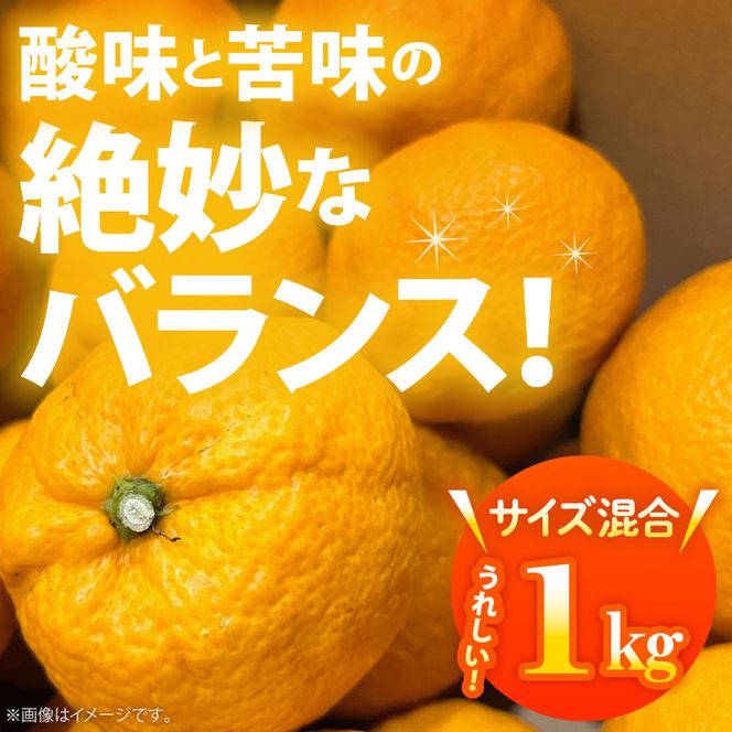 AB7033n_（国産）紀州和歌山の じゃばら 果実（訳あり ジャバラ 家庭用）1kg 国産 紀州 和歌山 じゃばら 果実 訳あり 家庭用