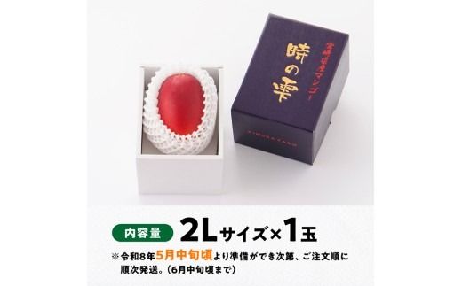 【令和8年発送】宮崎県産 完熟マンゴー 「時の雫」  2L×1玉 【 果物 フルーツ マンゴー 国産 宮崎県産 九州産 完熟マンゴー みやざき マンゴー 先行予約 数量限定 期間限定 】 [C08601]