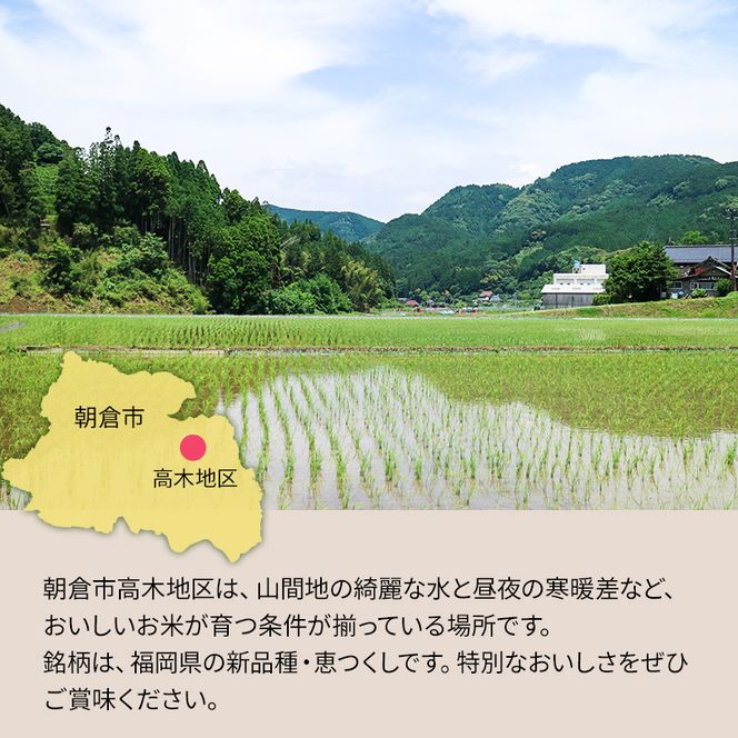 米 10kg 恵つくし 奇跡の一粒 5kg×2 令和7年産 お米 こめ コメ 新品種 