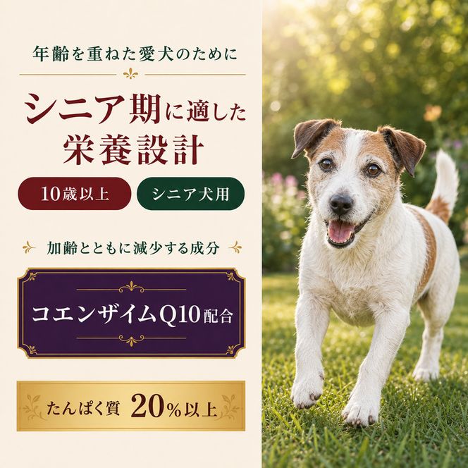 ビューティープロ ドッグ 10歳以上 2.3kg ｘ4(ケース単位) ドッグフード