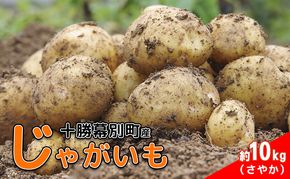 先行予約/2026年秋発送 北海道 十勝 幕別産 じゃがいも さやか 約10kg 【横山農園】 野菜 根菜 食材 しっとり 崩れにくい 煮込み料理 炒め物 肉じゃが カレー シチュー 北海道のジャガイモ