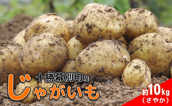 先行予約/2026年秋発送 北海道 十勝 幕別産 じゃがいも さやか 約10kg 【横山農園】 野菜 根菜 食材 しっとり 崩れにくい 煮込み料理 炒め物 肉じゃが カレー シチュー 北海道のジャガイモ