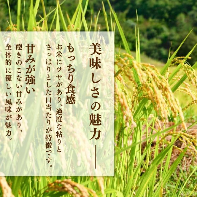 新米 ひとめぼれ 5kg 岩手県産 米 白米 はくまい コメ rice ごはん 常温 常温保存 保存 農家 農作物 栄養 夕飯 大船渡 三陸 岩手県 国産 [owada008_2]