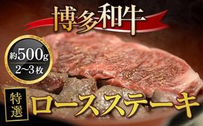牛肉 博多和牛 特選 ロースステーキ 2~3枚 約500g [対海食品（肉の駅KING） 福岡県 宇美町 um40azo690001] ステーキ 冷凍 ロース 焼肉 焼き肉 小分け 個包装