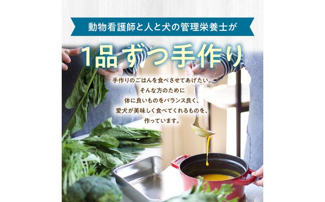 【R15012】ドッグフード 無添加 お魚5点セット【犬の手作りごはん】