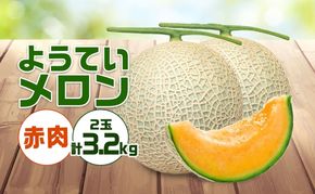 北海道 赤肉メロン 約1.6kg 2玉 メロン 赤肉 果物 フルーツ 甘い 完熟 スイーツ デザート 産直 国産 贈答品 お祝い ギフト羊蹄山 JAようてい