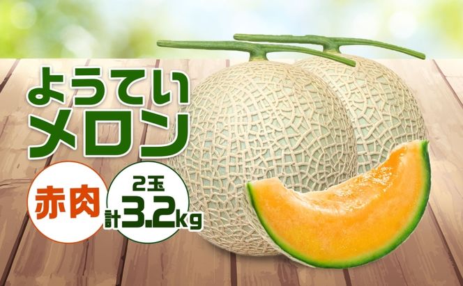 北海道 赤肉メロン 約1.6kg 2玉 メロン 赤肉 果物 フルーツ 甘い 完熟 スイーツ デザート 産直 国産 贈答品 お祝い ギフト羊蹄山 JAようてい